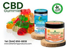 Sweet Relief Starts with CBD Gummies
