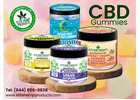 CBD Gummies That Make Every Day Better